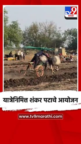 यात्रेनिमित्त शंकर पटाचे आयोजन