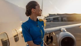 प्रवासी विमानातून उतरल्यानंतर एअर होस्टेस काय करतात? ऐकून धक्का बसेल.