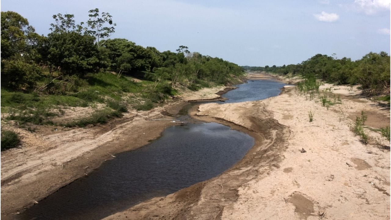ॲमेझॉन नदीच्या शिवाय अन्य नद्या उदा.इजिप्तची नाईल नदी आणि चीनची यांग्त्जीं नदीवर अनेक पुल उपलब्ध आहेत. परंतू ॲमेझॉन नदी या बाबतीत एकदम वेगळीच आहे.तिच्यावर एकही पुल बांधलेला नाही.