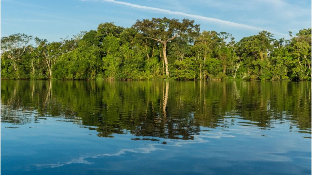 नौकांचा वापर - ॲमेझॉन नदीच्या क्षेत्रातील लोक परिवहनासाठी नौकांवर आणि इतर बोटींवर अवलंबून आहते. त्यांना त्यामुळे त्यांच्याकडे वाहने नसल्याने त्यांना पुलाची काही गरज नाही.