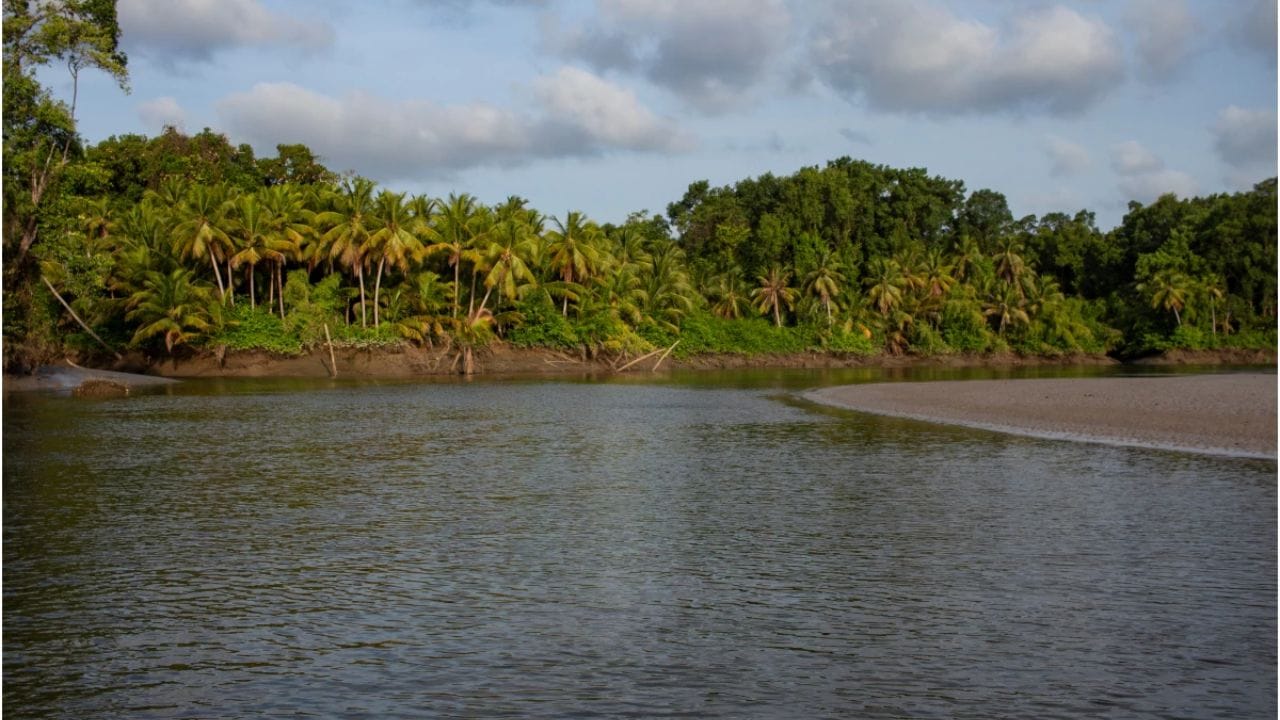 दुर्गम स्थान: ही नदी घनदाट वर्षावनातून वाहते. जेथे पायाभूत सुविधा ( रस्ते आदी ) अजिबात नाही. त्यामुळे या ॲमेझॉन नदीवर पुल बांधण्याचा काही प्रश्नच निर्माण होत नाही.