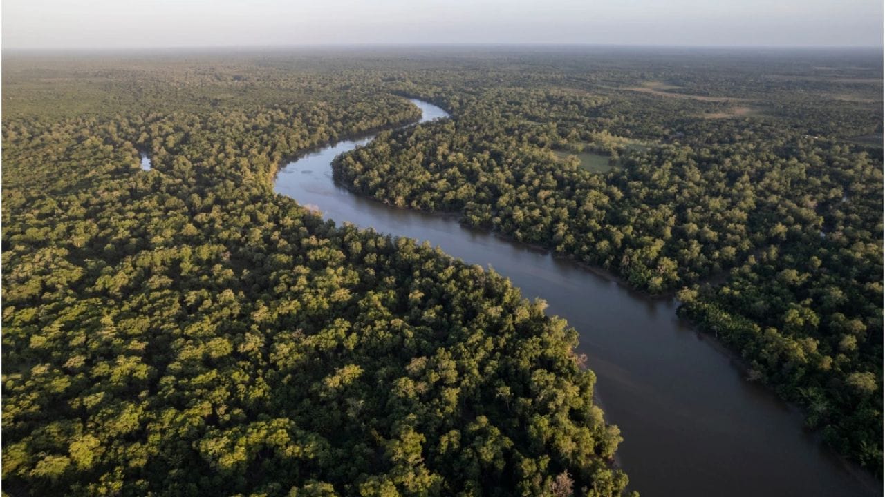 ॲमेझॉन नदीवर पुल न बांधण्यामागे मुख्य कारण म्हणजे ही नदी वर्षावनातून (Rainforest) वाहते. अत्यंत रुंद आणि आजूबाजूला लोकसंख्येची कमतरता त्यामुळे या नदीवर आजपर्यंत एकही पुल बांधला गेलेला नाही.  ॲमेझॉन नदीवर पुल न होण्यामागे अन्य मुख्य कारणे खाली प्रमाणे आहेत. 