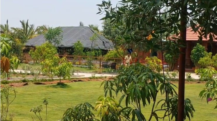  दर अमावस्येला या  ठिकाणी त्याच्या दर्शनाला बडीमंडळी आणि राजकीय नेत्यांची गर्दी व्हायची. कोणाला घरातील काही समस्या असायच्या तर कोणाला आर्थिक समस्या, कोणाला आपले भविष्य जाणून घ्यायचे असायचे अशी सर्व बडीमंडळी या मामाच्या चरणी दाखल झालेली असायची.