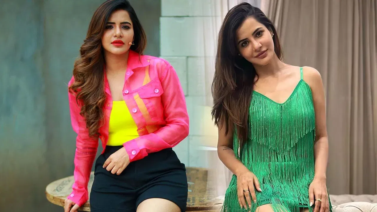 हैदराबाद पोलिसांनी या वृत्ताला दुजोरा दिला असून सध्या तपास सुरू आहे. प्राथमिक माहितीनुसार, हे दोघे काही काळ 'लिव्ह-इन रिलेशनशिप'मध्ये राहत होते असे समजते, मात्र आर्थिक व्यवहारांची माहिती समोर आल्यानंतर हे प्रकरण अधिक गुंतागुंतीचे बनले आहे. दुसरीकडे, अभिनेत्री आशू रेड्डी हिने हे सर्व आरोप फेटाळून लावले आहेत. तिने सोशल मीडियावर एक पोस्ट शेअर करत आपली बाजू मांडली आहे. तिच्या मते, हे सर्व दावे खोटे असून तिच्याविरोधात अफवा पसरवल्या जात आहेत. याप्रकरणी ती तक्रारदाराविरुद्ध कायदेशीर कारवाई करणार असल्याचेही तिने स्पष्ट केले आहे.