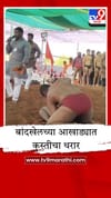 बांदखेलच्या आखाड्यात कुस्तीचा थरार, मल्लांनी लुटली 5 लाखांची बक्षिसे.