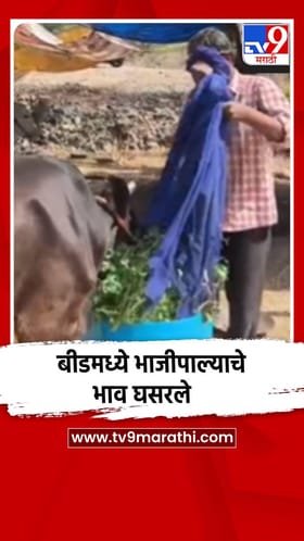 बीडमध्ये भाजीपाल्याचा भाव घसरला, गुरांना देण्याची वेळ