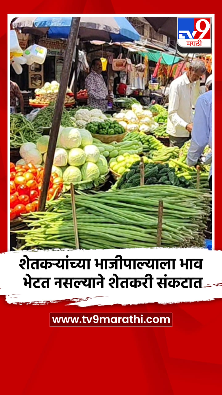 शेतकऱ्यांच्या भाजीपाल्याला भाव भेटत नसल्याने शेतकरी संकटात