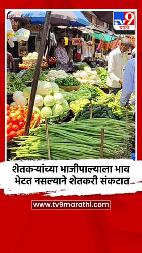 शेतकऱ्यांच्या भाजीपाल्याला भाव भेटत नसल्याने शेतकरी संकटात
