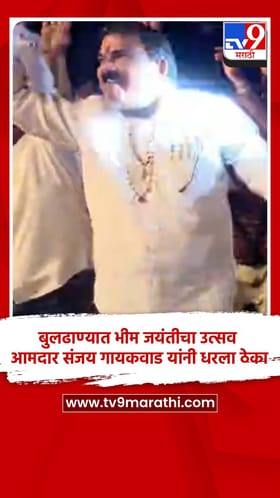 बुलढाण्यात भीम जयंती उत्सवात जल्लोष...