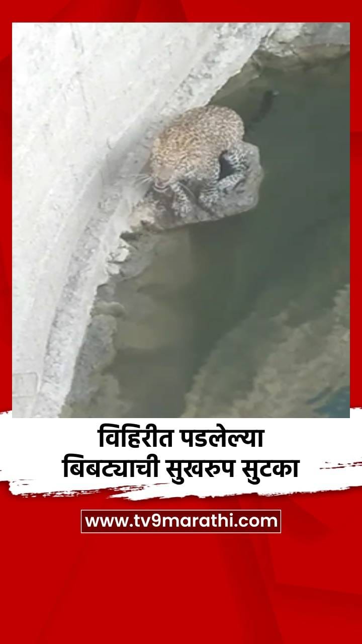 विहिरीत पडलेल्या बिबट्याची सुखरुप सुटका