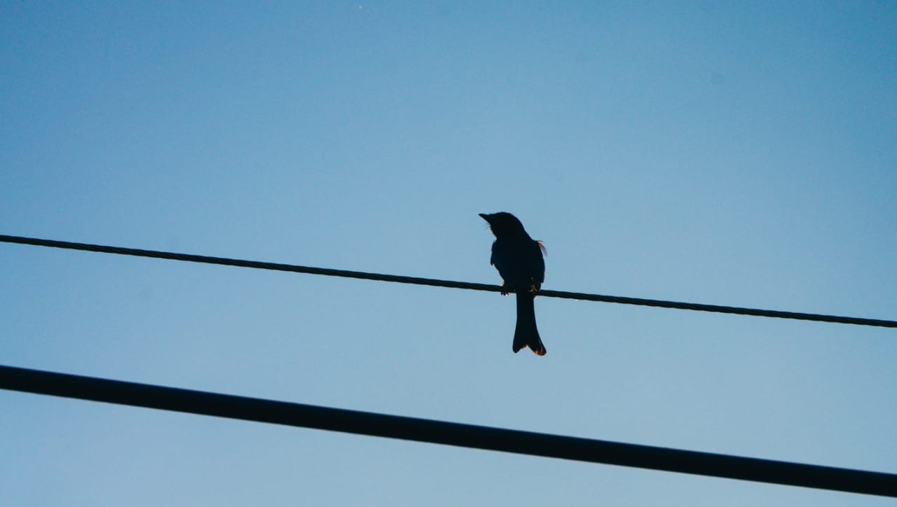 अनेक रेल्वे स्थानकावर किंवा रेल्वे ट्रॅकच्या कडेला असलेल्या ओव्हरहेड वायरमधून तब्बल २५ हजार व्होल्टचा विद्युत प्रवाह वाहत असतो. एवढ्या मोठ्या दाबाच्या विजेचा स्पर्श जरी झाला, तरी माणसाचा कोळसा होऊ शकतो.