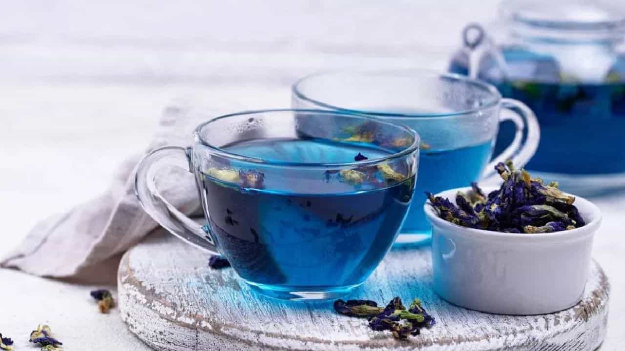 ब्ल्यू टी पिण्याचे आहेत फायदेच फायदे, जाणून घ्या शरीरात नेमका काय बदल होतो?