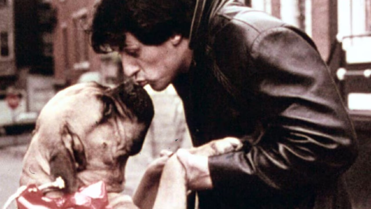 79 वर्षांचा स्टार, 1000 वेळा ऑडिशनमध्ये नाकारलं, तरीही बनला अॅक्शनचा बादशाह