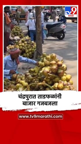 चंद्रपुरात पारा उच्चांकावर, बाजार फळांनी गजबजला