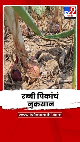 अवकाळी पावसाचा मोठा फटका; 52 गावांतील 1302 शेतकरी बाधित