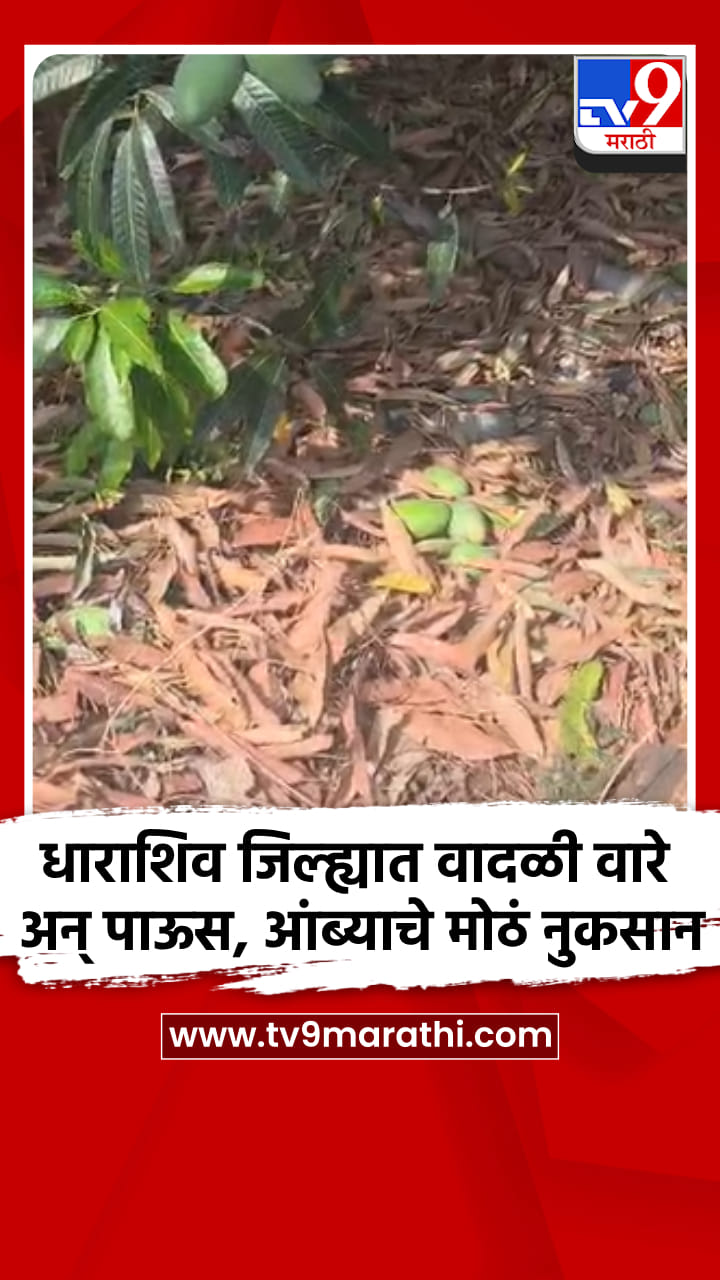 धाराशिव जिल्ह्यात वादळी वारे अन् पाऊस, आंब्याचे मोठं नुकसान