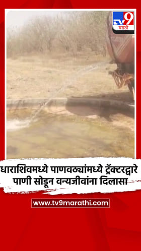 धाराशिवमध्ये पाणवठ्यांमध्ये ट्रॅक्टरद्वारे पाणी सोडून वन्यजीवांना दिलासा