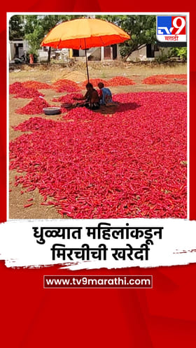 धुळ्यात महिलांकडून मिरचीची खरेदी..