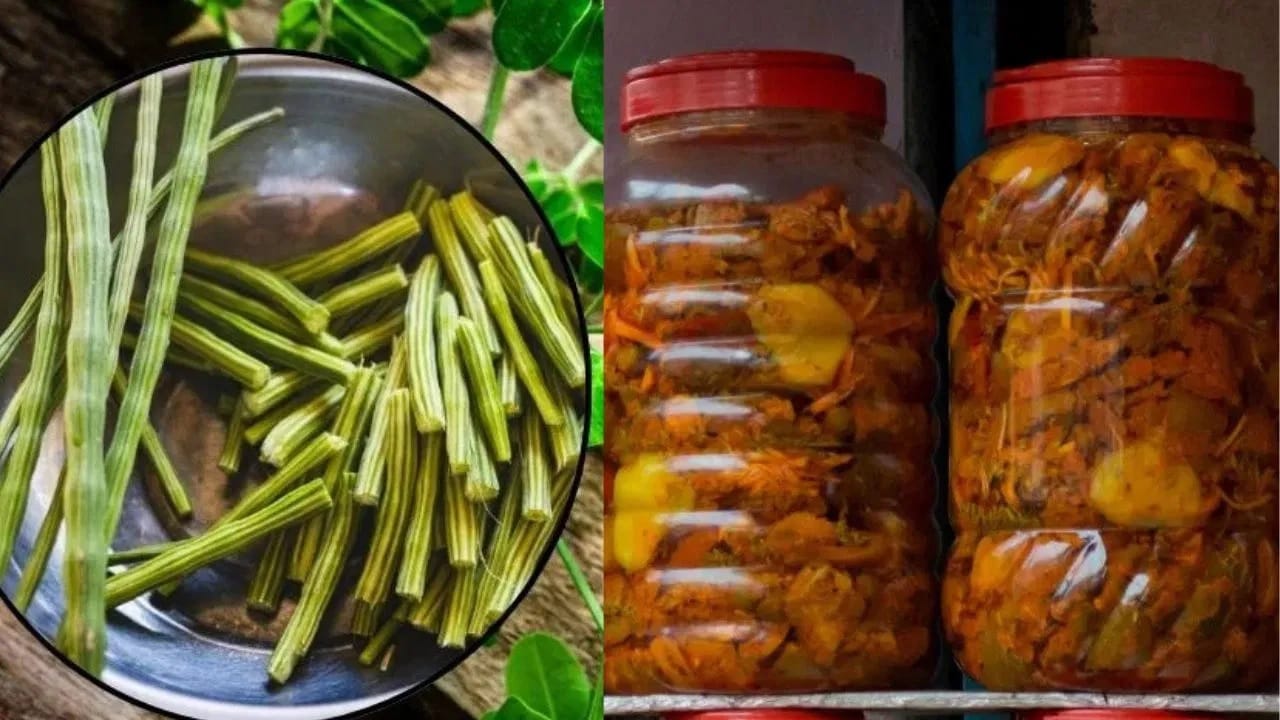 घरच्या घरी शेवग्याच्या शेंगांपासून बनवा लोणचे, झटपट जाणून घ्या रेसिपी