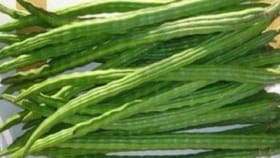 उन्हाळ्यात शेवग्याच्या शेंगा ठरतील फायदेशीर, आरोग्यदायी फायदे काय?.