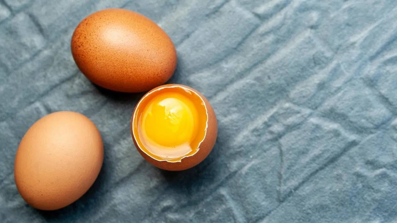 आंध्र प्रदेशनंतर देशात अंडी उत्पादनात दुसऱ्या क्रमांकावर असलेलं राज्य म्हणजे तामिळनाडू तेलंगण आणि पश्चिम बंगाल. या राज्यांनी आपल्या इथे पॉल्ट्रीचं चांगलं नेटवर्क विकसित केलं आहे. सरकारी योजना आणि खासगी गुंतवणूकीने पोल्ट्री उद्योगाल मजबूत बनवलय. 