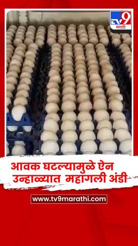 सिंधुदुर्ग - आवक घटल्यामुळे ऐन उन्हाळ्यात  महागली अंडी