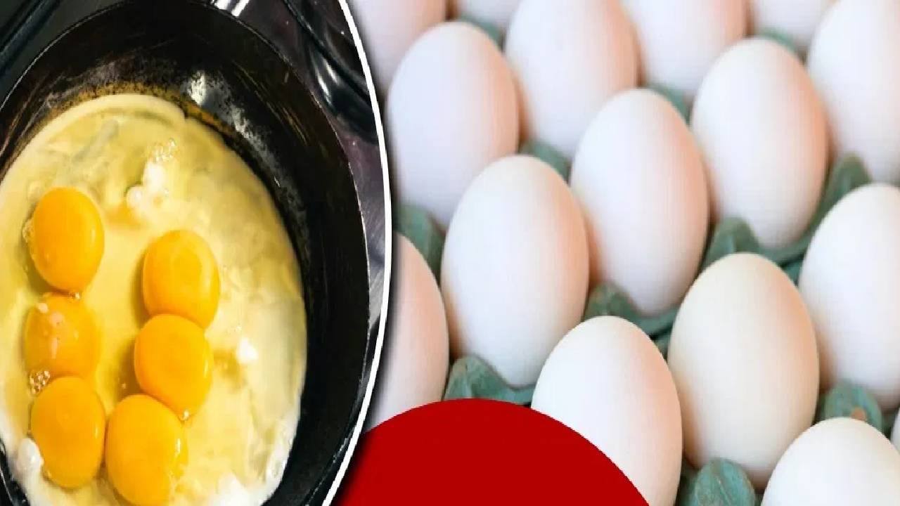 अंड्याच्या उत्पादनात भारत जगात दुसऱ्या स्थानावर आहे. जगातील सर्वाधिक अंड्यांची निर्यात करणाऱ्या देशात चीन पहिल्या स्थानावर आहे. त्यानंतर भारताचा नंबर लागतो. भारतातील अनेक राज्य अंडी उत्पादनासाठी ओळखली जातात. भारतातील सर्वाधिक अंडी उत्पादन करणारं राज्य कोणतं? जाणून घ्याय