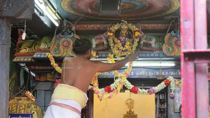 मंदिराच्या प्रवेशद्वारावर वाळलेली पाने वाढवू शकतात नकारात्मकता?