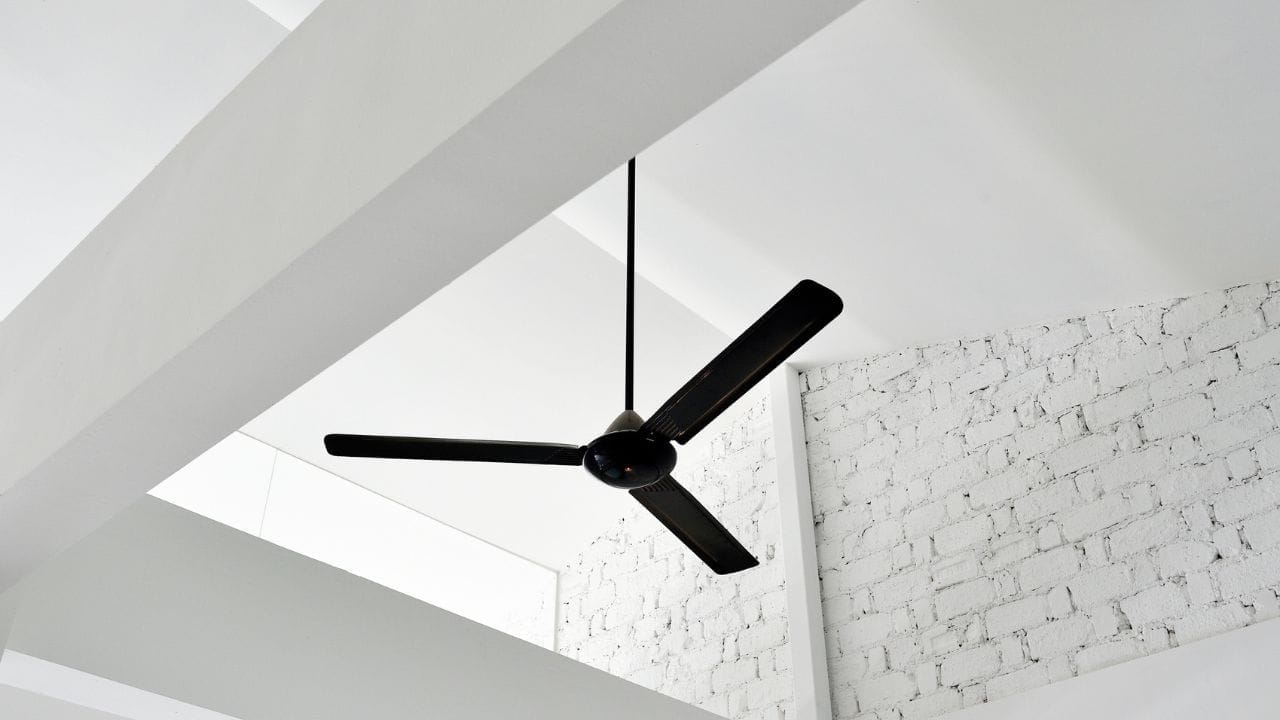 याशिवाय, पंख्याच्या पात्यांवर साचलेली धूळ नियमितपणे स्वच्छ करणे अत्यंत आवश्यक आहे. कारण पात्यांवर धुळीचे जाड थर साचल्यामुळे पंख्याचे वजन आणि हवेचा रोध वाढतो. कारण धुळीमुळे मोटरवर ताण येतो आणि वीज वापर वाढतो.