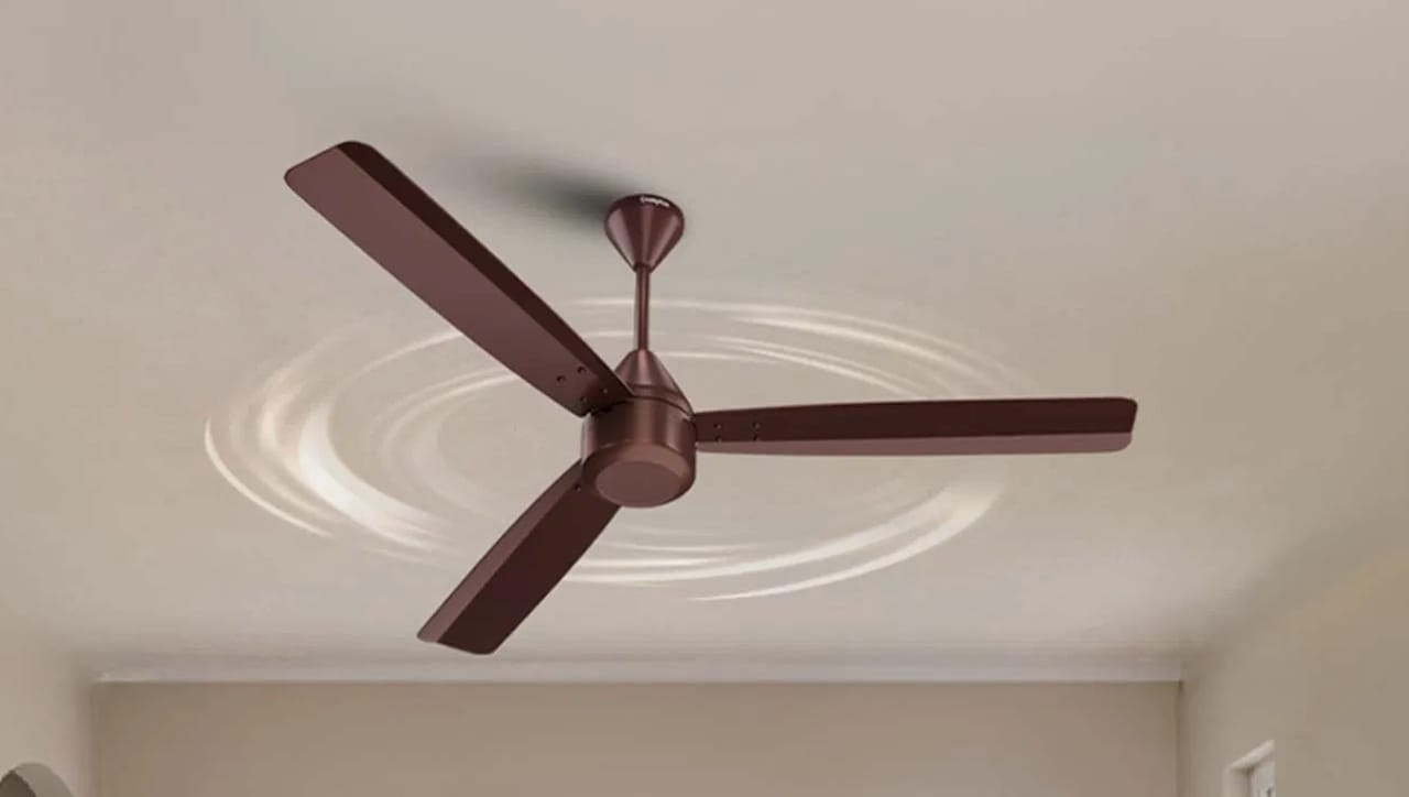 उन्हाळ्यात घरातील पंखे दिवस-रात्र फिरत असतात. सतत हवेत फिरत असूनही काही दिवसांतच पात्यांच्या कडांवर काळ्या धुळीचा जाड थर जमा होतो.  पण इतक्या वेगाने फिरणाऱ्या पंख्याच्या पात्यांवर धूळ नेमकी येते कुठून? याबद्दल आपण जाणून घेणार आहोत.