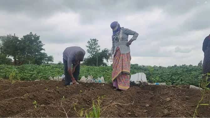 लाखोंचा खर्च, पण पदरात माती...; आखाती देशांत युद्धामुळे शेतकऱ्यांचे कंबरडे मोडले, कुठे काय स्थिती?