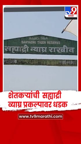सांगली - बिबट्या व वन्य प्राण्यांच्या त्रासाला कंटाळलेल्या शेतकऱ्यांची थेट सह्याद्री व्याघ्र प्रकल्पावर धडक