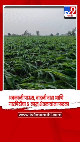 जळगाव जिल्ह्यात वर्षभरात अवकाळी पाऊस, वादळी वारा आणि गारपिटीचा 5 लाख शेतकऱ्यांना फटका