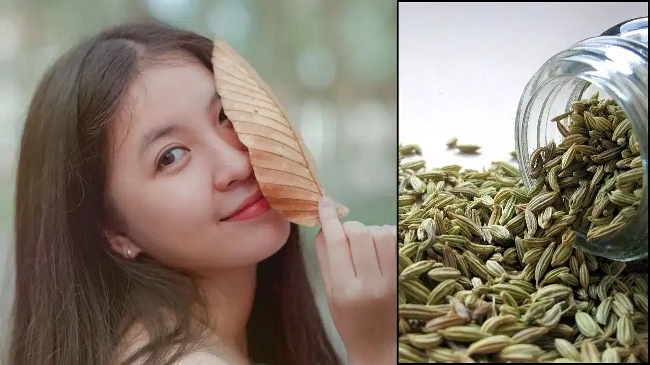 रखरखत्या उन्हात शरीर थंड ठेवण्यास मदत करेल बडीशेप पावडर, जाणून घ्या बनवण्याची खास पद्धत आणि त्याचे इतर फायदे