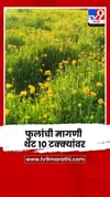 जळगावात फूल उत्पादक चिंतेत; फुलांची मागणी थेट 10 टक्क्यांवर.