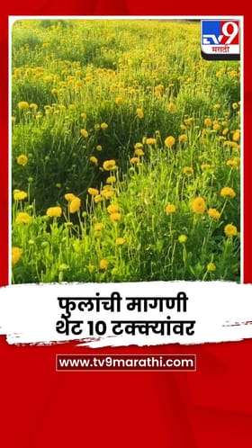 जळगावात फूल उत्पादक चिंतेत; फुलांची मागणी थेट 10 टक्क्यांवर