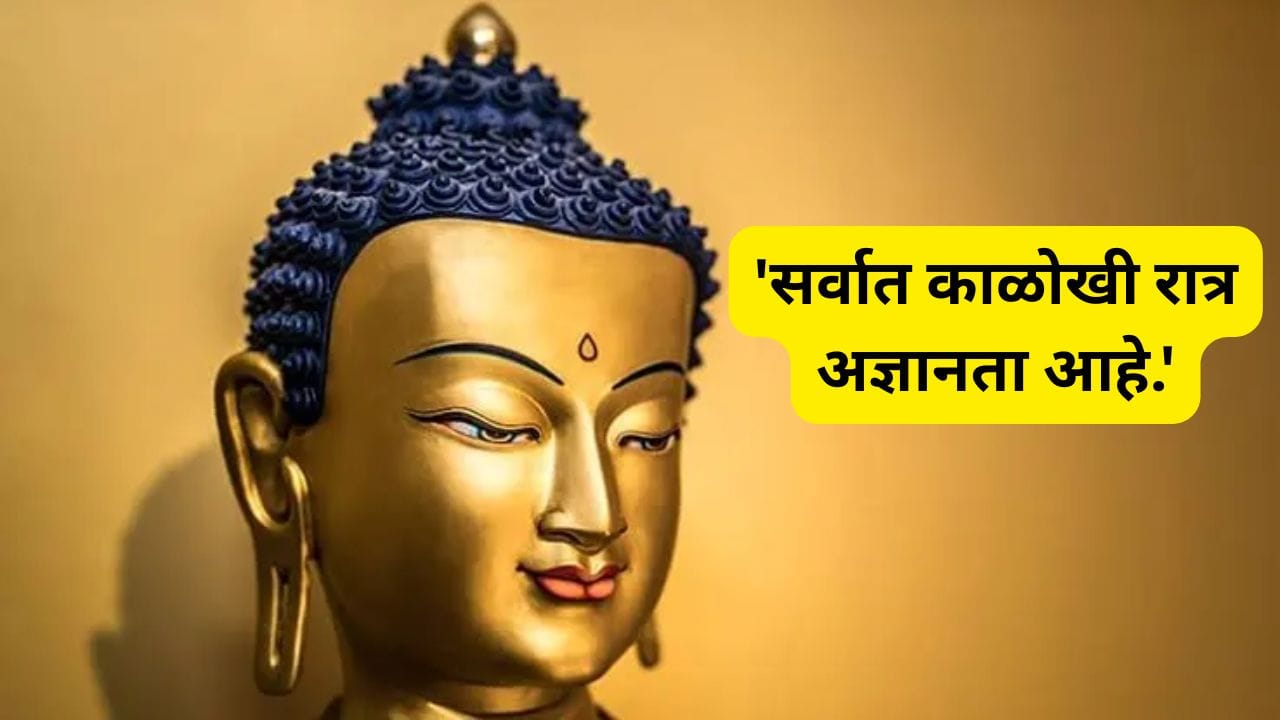 6.'सर्वात काळोखी रात्र अज्ञानता आहे.'