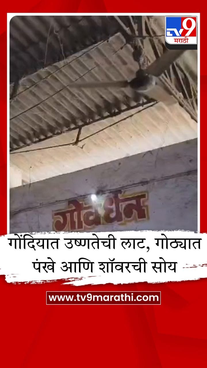 गोंदियात उष्णतेचा कहर, गौशालेत प्राण्यांची विशेष काळजी