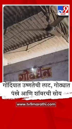 गोंदियात उष्णतेचा कहर, गौशालेत प्राण्यांची विशेष काळजी