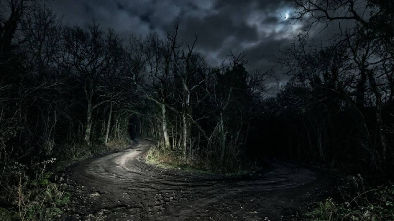 Hadawal-Myth or Reality : हडवळ रात्रीच का मागे लागते? भीतीमागचं सत्य आणि विज्ञान घ्या जाणून