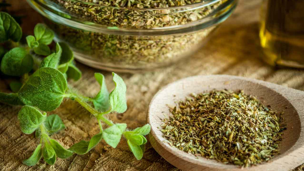 काय…फास्ट फूडमध्ये वापरला जाणारा ओरेगॅनो आरोग्यासाठी फायदेशीर, जाणून घ्या हे आरोग्यदायी फायदे