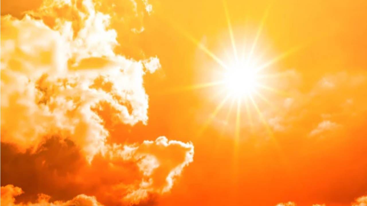 कुणाची बॉडी रस्त्यावर सापडली तर कुणाची ऑटोमध्ये, राज्यात महिनाभरात उष्माघाताचे 8 बळी? लहान बाळाचाही समावेश