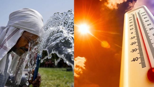 यासह दुपारी दोन ते चार वाजेपर्यंत उन्हात घराबाहेर निघू नये. घराबाहेर पडू नये. तसेच मद्य, चहा, कॉफी पिणे टाळावे. उन्हाच्या काळात व्यायाम करणे टाळावे. कडक उन्हात जास्त श्रम करू नये, असेही या मार्गदर्शक सूचनांमध्ये सांगण्यात आले आहे. 