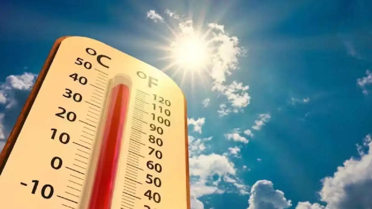 शरीरातील पाण्याची कमतरता होईल दूर आणि उष्णतेपासूनही मिळेल आराम, आहारात ‘या’ देसी पदार्थांचा करा समावेश