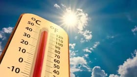 आहारात 'या' देसी पदार्थांचा करा समावेश, उष्णतेपासून मिळेल आराम.