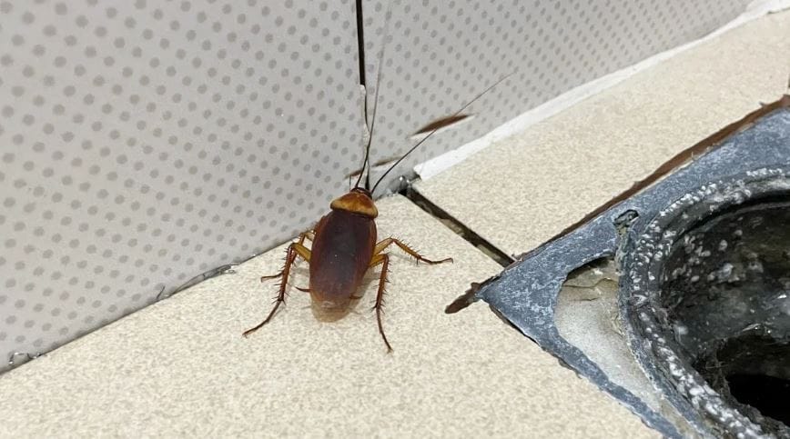 (टीप- या लेखातील सर्व माहिती ही प्राथमिक स्वरुपाची आहे. सविस्तर माहितीसाठी किंवा कोणताही प्रयोग करण्याआधी त्या-त्या क्षेत्रातील तज्ज्ञांशी संपर्क साधावा) 