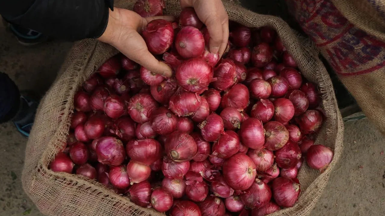 कांदे ताजे राहण्यासाठी त्यांना सतत कोरड्या हवेची गरज असते. बाजारातून आणल्यानंतर कांदे कधीही प्लास्टिकच्या पिशवीत ठेवू नका; यामुळे ओलावा साचून ते लवकर सडतात. त्याऐवजी कांदे जाळीदार पिशवी, बांबूची टोपली किंवा छिद्र असलेल्या ट्रेमध्ये पसरवून ठेवा. यामुळे त्यांची साल कोरडी राहते. तसेच जिवाणूंची वाढ होत नाही.