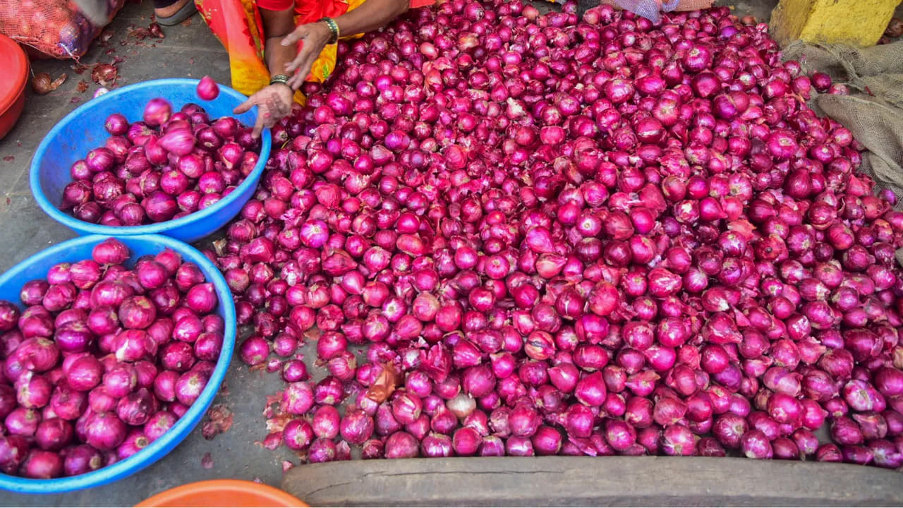 कांद्यांना थेट सूर्यप्रकाश मिळाल्यास त्यांना अंकुर फुटू लागतात. त्यामुळे ते नेहमी थंड, कोरड्या आणि अंधाऱ्या जागी साठवावेत. खिडकीजवळ किंवा सिंकच्या खाली जिथे दमटपणा असतो, अशा ठिकाणी कांदे ठेवू नका. कपाटाचा खालचा भाग किंवा अंधारी कोपऱ्यात ठेवल्यास ते जास्त काळ टिकतात.