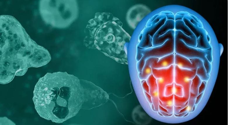 स्त्री आणि पुरुष यांच्या मेंदूमध्ये नेमका काय बदल असतो, हे जाणून घेऊ या. स्त्री आणि पुरुष यांच्या मेंदूची रचना आणि कार्य करण्याची पद्धत वेगळी असते. पुरुषांचा मेंदू हा महिलांच्या मेंदूच्या तुलनेत साधारण 10 टक्के मोठा असतो. 