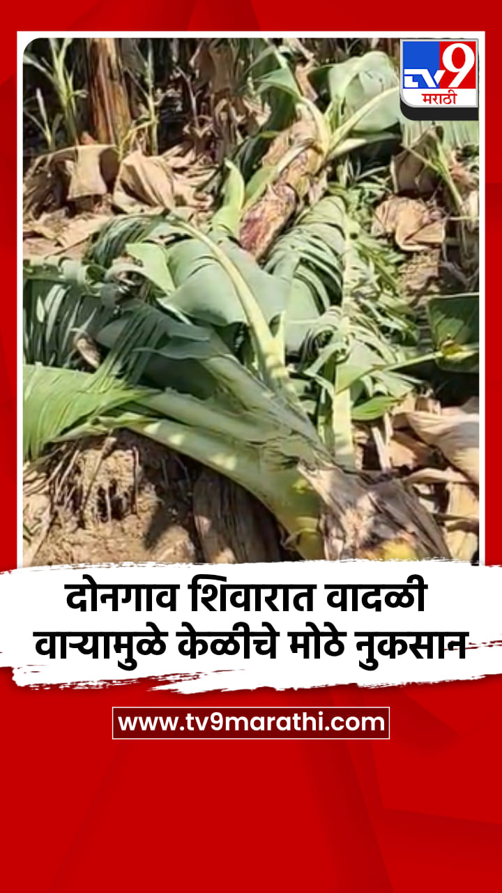 दोनगाव शिवारात वादळी वाऱ्यामुळे केळीचे मोठे नुकसान